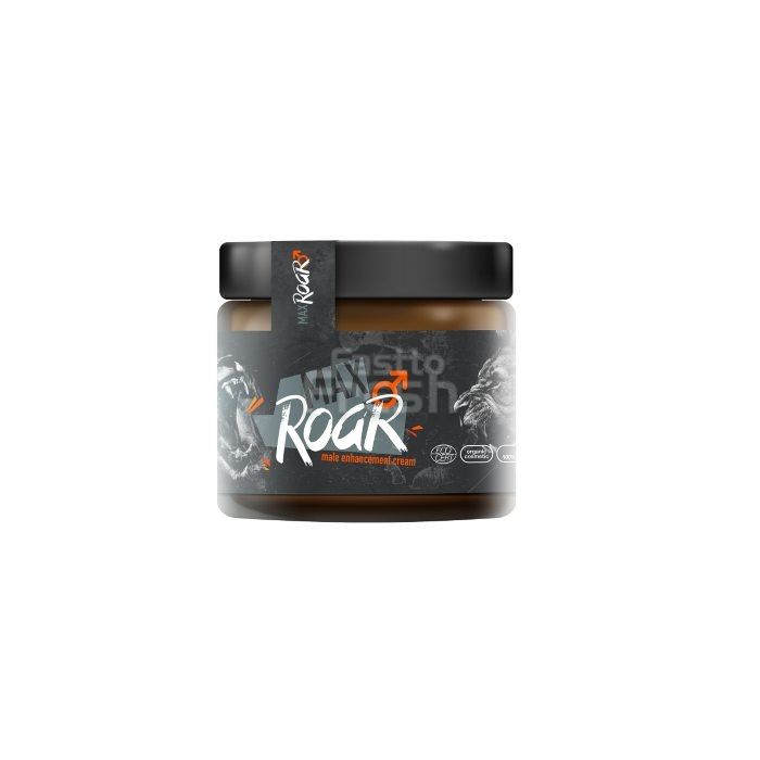 MaxRoar ● pro potenciál ● v Brně